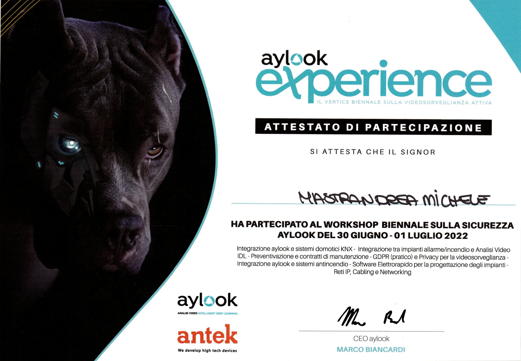 Aylook-experience_page-0001